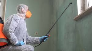 Best Forensic Mold Investigation  in Indio, CA