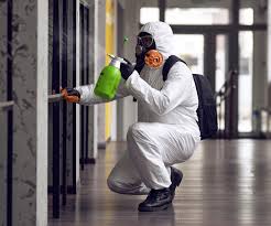 Why You Should Choose Our Mold Remediation Services in Indio, CA